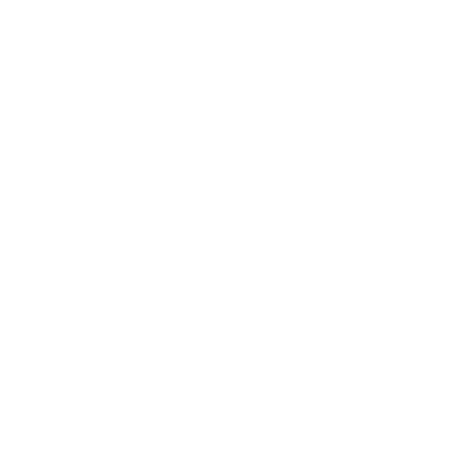 SV-logo-white